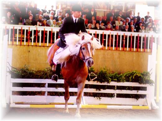 Jumping in the indoor ring at Waldeck-U Lesa