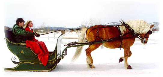 Winter sleigh ride!